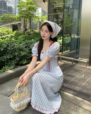 Blueberry Picnic Dress.